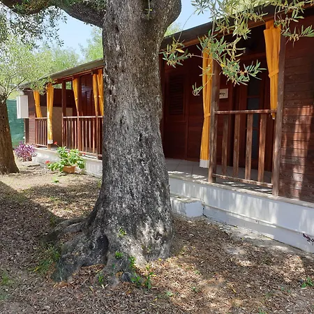 Summer Paradise 3* Capitello